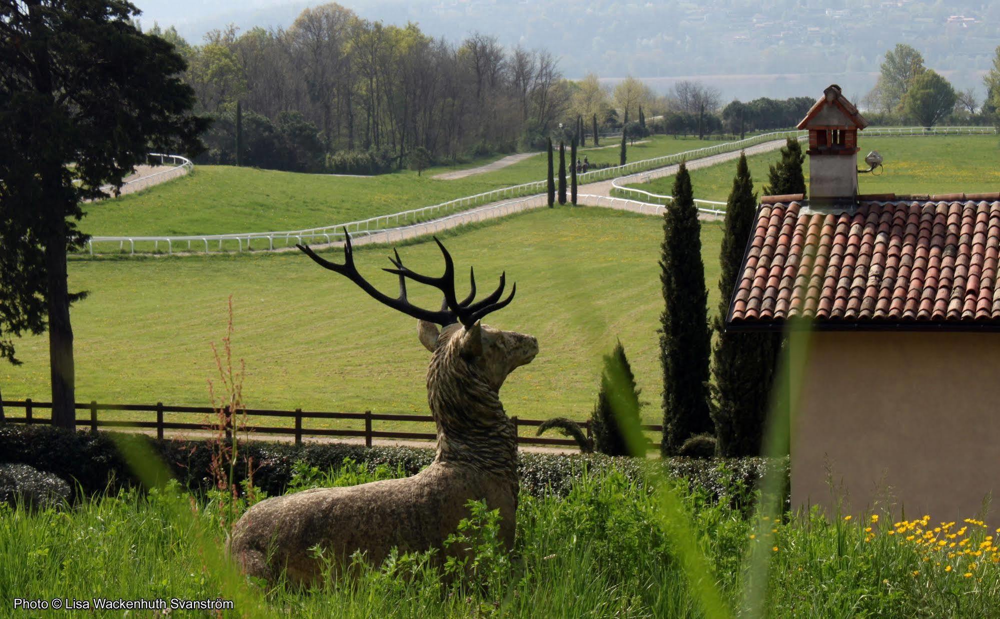 Foresteria Dei Piaceri Campestri Casciago Exteriör bild